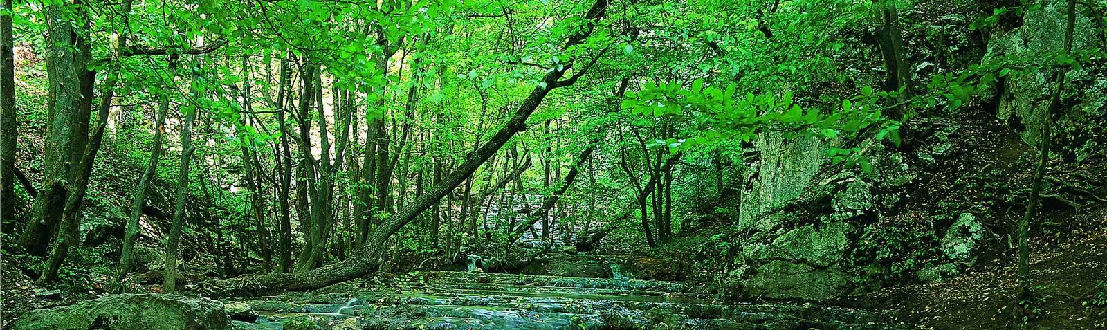 Golestan National Park Visit iran